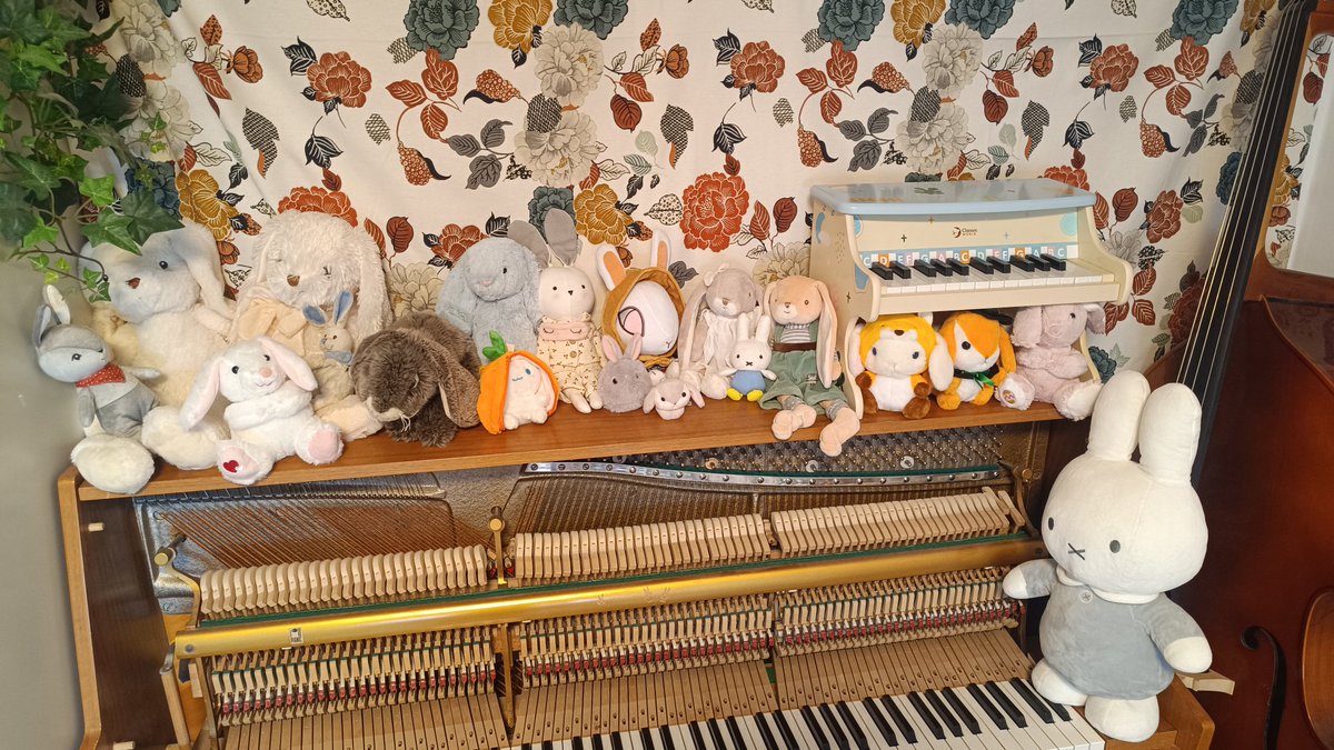 bunnysquire's tweet photo. almost out of room... https://t.co/67csanR4wT