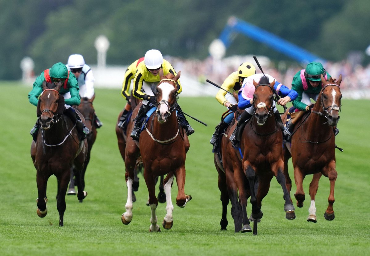 CheltenhamTips's tweet photo. Play Safe Royal Ascot Tips Day 4: Friday’s Best Bets &amp; Predictions: William Hill News tipster Steve Mullington previews each race on Day 4 at the 2026 Royal Ascot meeting, so check out his best selections and betting tips on Friday’s… https://t.co/zs8rDeGUOl BeGambleAware AD 18+ https://t.co/pQPxRADR4d
