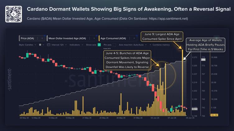 Anna_Fallonn's tweet photo. $ADA wallets are stirring.

According to Santiment, Cardano just recorded its largest spike in "Age Consumed" since April , a sign that long-inactive supply is finally starting to move.

#BTC https://t.co/n6byuqXjqa