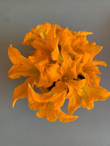 crocro17's tweet photo. #Poesía
Tan frágiles,
tan breves,
como todos los instantes, 
como todos los colores,
así nuestras vidas, 
así como las flores 

Y comíamos eternidades
y no nos importaba el tiempo 
porque así teníamos,
la breve eternidad de las flores https://t.co/D8refTcs6R