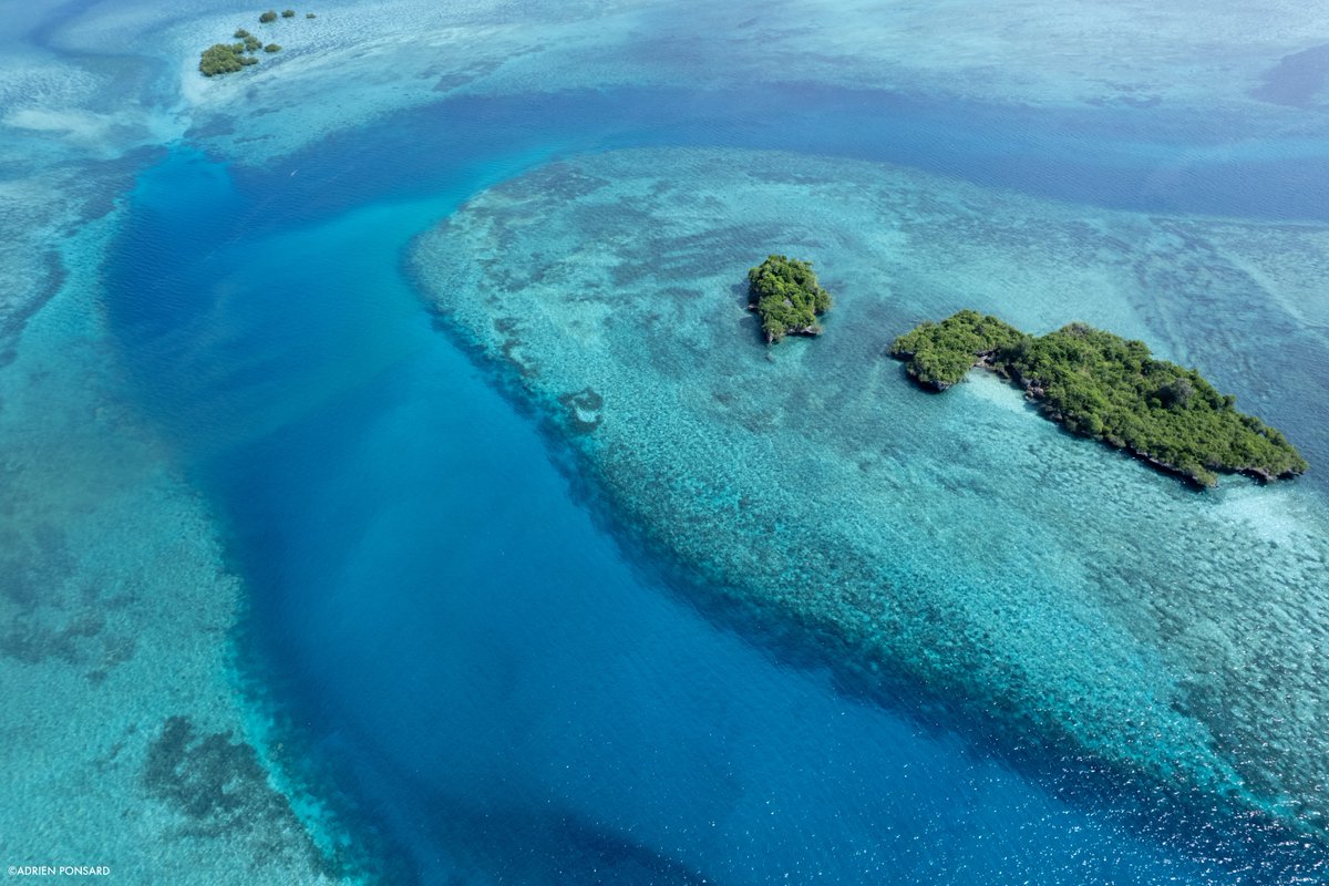 TheWCS's tweet photo. NEWS: 9 African governments have announced new marine protections. Signals a shift from pledge to action across the continent. https://t.co/qweejj3Yo1 #OurOcean https://t.co/De8sF7Bs2e