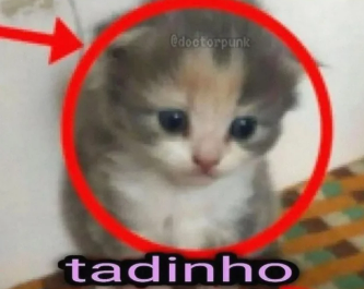 webMzS's tweet photo. @solarzynn EU ASSIM, MEU DEUS ESQUEÇO ATÉ COMO FALA, eu falo muito bem em público, mas MEU DEUS P FALAR COM MULHER EU SOU UMA NEGAÇÃO fico assim https://t.co/TjpN81FF7a