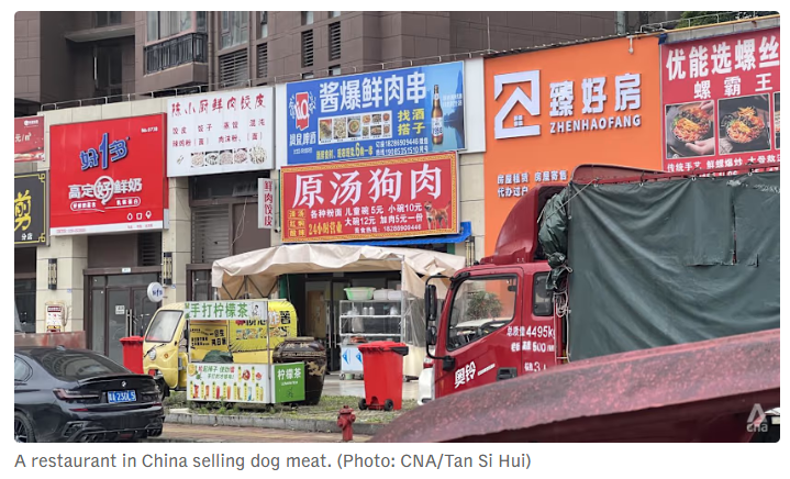 NamiKim_DogsSK's tweet photo. 🆕NEWS FROM #CHINA🇨🇳

China’s #DogMeatTrade back in spotlight after celebrity canine reportedly stolen and eaten.

June 16, 2026 - by .@ChannelNewsAsia 
📰https://t.co/UoKPMAYe4Q

The reported theft and consumption of the celebrity pet dog has reignited debate in China over the country's dog meat trade, prompting renewed discussion about animal protection laws and shifting public attitudes over the practice.

The border collie named Chutou was stolen while its owner was overseas, before being sold to a dog meat restaurant in central China for about US$25 and later eaten.