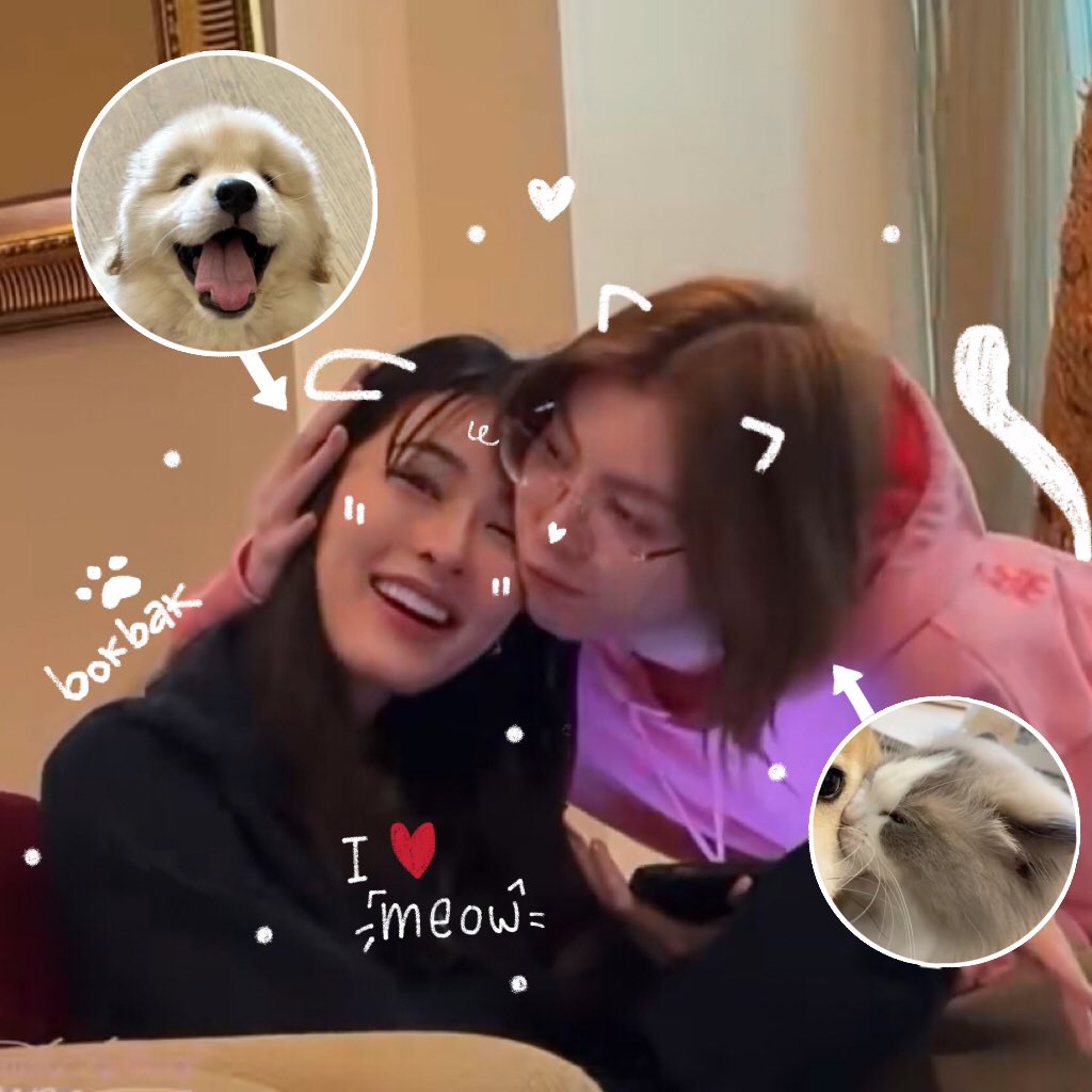 qutiechu's tweet photo. ( 🐕‍🦺🐈, ) * https://t.co/oW9I3XxfsO