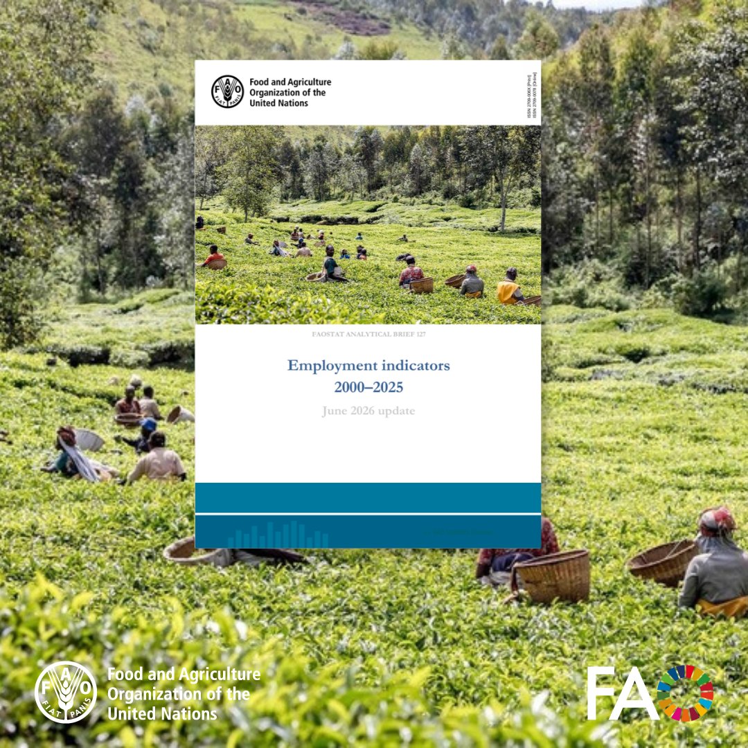 FAOstatistics's tweet photo. Explore #FAOSTAT’s Employment Indicators domain!
The 2026 update now includes sex-disaggregated agrifood systems indicators and two additional indicators on the female share of agrifood systems employment.
📊https://t.co/w70ce1IOwG https://t.co/VMTTdCTBOu