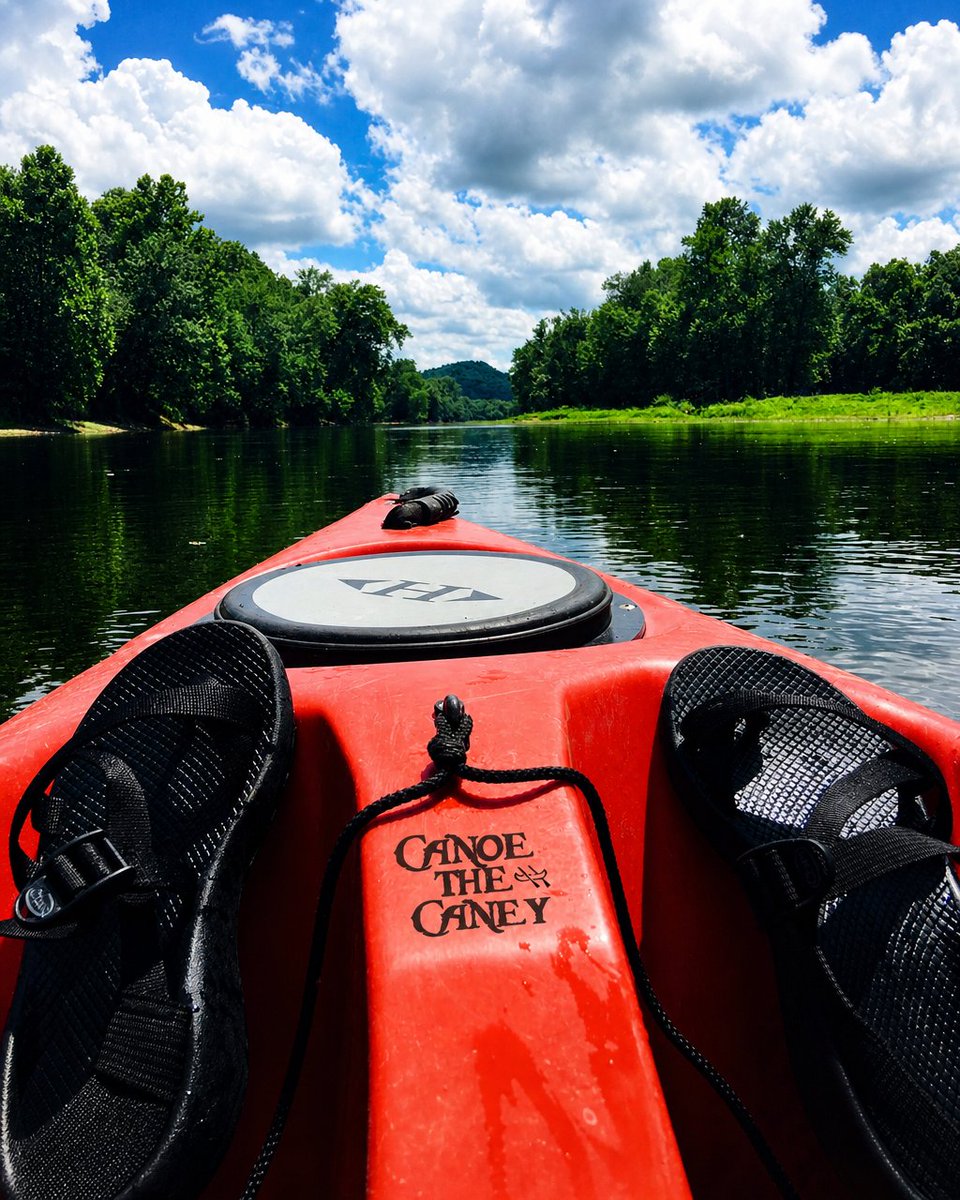 CanoeTheCaney's tweet photo. Outside: 95°. The river: 58°.

The river understood the assignment.

Float plans at https://t.co/iKXAqabyhY 🛶

#CaneyForkRiver #TennesseeKayaking #MiddleTennessee #SummerEscape #ThingsToDoInTennessee https://t.co/o1USFhFQNo