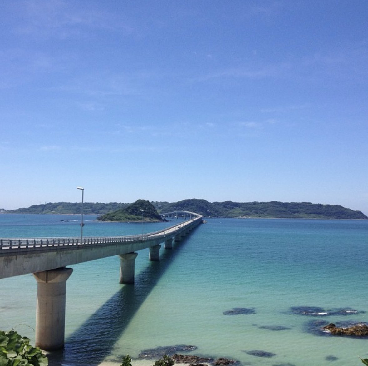 nnn_unn's tweet photo. #sp813 #杉本ラララ
唐戸市場、角島も、すき！ https://t.co/sQmBMAtYFR