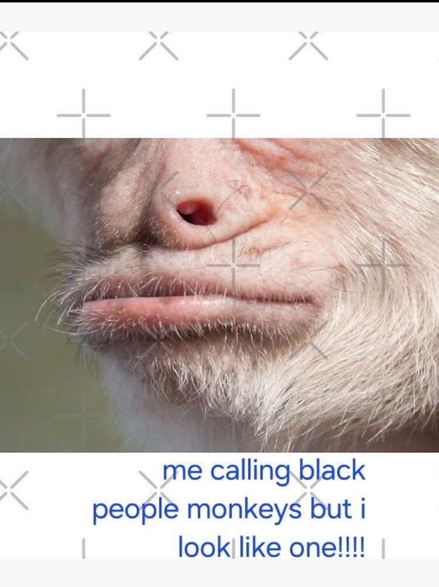 DM0uth's tweet photo. @BUTTHOLELOVER83 @SeeRacists Bro just did the meme😂💔💔 https://t.co/mfzwgDG03e