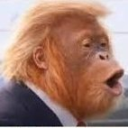 Scrambledo's tweet photo. @ShaykhSulaiman Start war: lose.
The art of the deal. https://t.co/Ux8hImlfb3