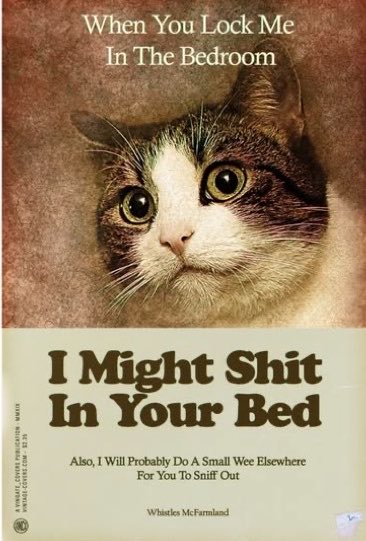 Cat Tribunal tweet media