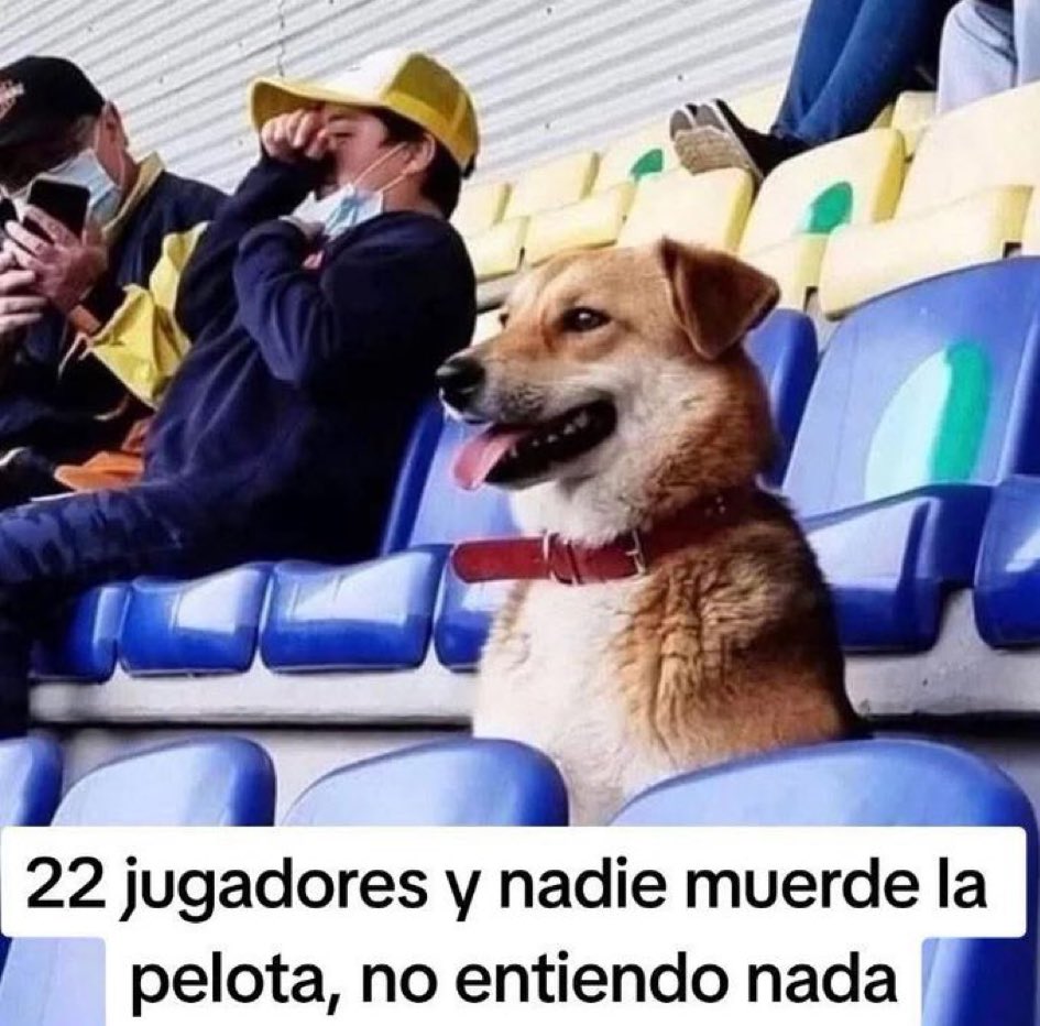 escan44's tweet photo. @antuan556 @Monica_Garcia_G Así está @Monica_Garcia_G que no se entera de nada con la obsesión que tiene con @IdiazAyuso y tú viendo lo que subes de el Che Guevara nos da una idea de la materia de la que está compuesto tu cerebro. https://t.co/oMgBLNDdTn