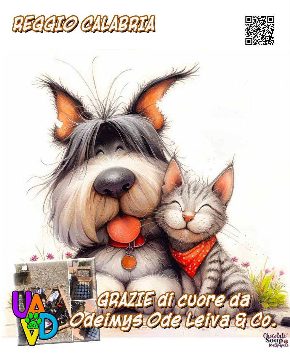 unonlus's tweet photo. Da Reggio Calabria scrive Odeimys Ode Leiva: "Grazie infinite mamma Uada . Grazie mille capo ♥️Un po' di ossigeno è arrivato ♥️grazie di tutto cuore 💓"
Per #DIFFONDERE ed #AIUTARCI, clicca su questo link: https://t.co/CrpgShBBkL https://t.co/Hz9b9KEj9W