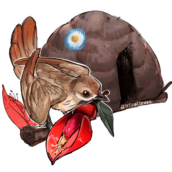 trilobite66's tweet photo. Eyoo bird drawings! 

#Argentina #art #hornero https://t.co/NCFGHIbh6b