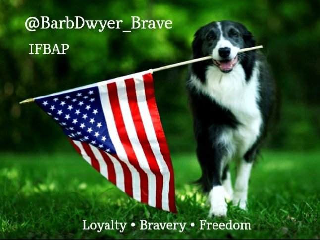 BarbDwyer_Brave's tweet photo. @accordingtowoz https://t.co/h3637HRbZy