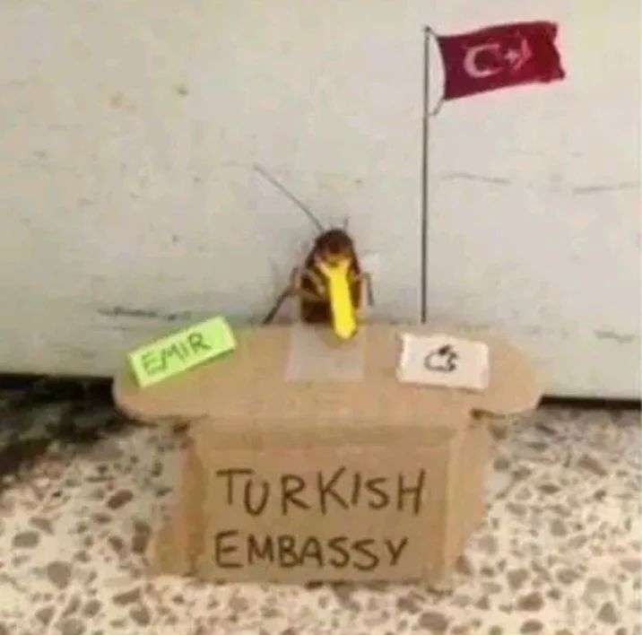 eeeemirr's tweet photo. @Windyglorious asıl bu https://t.co/tFYgMgpLyE