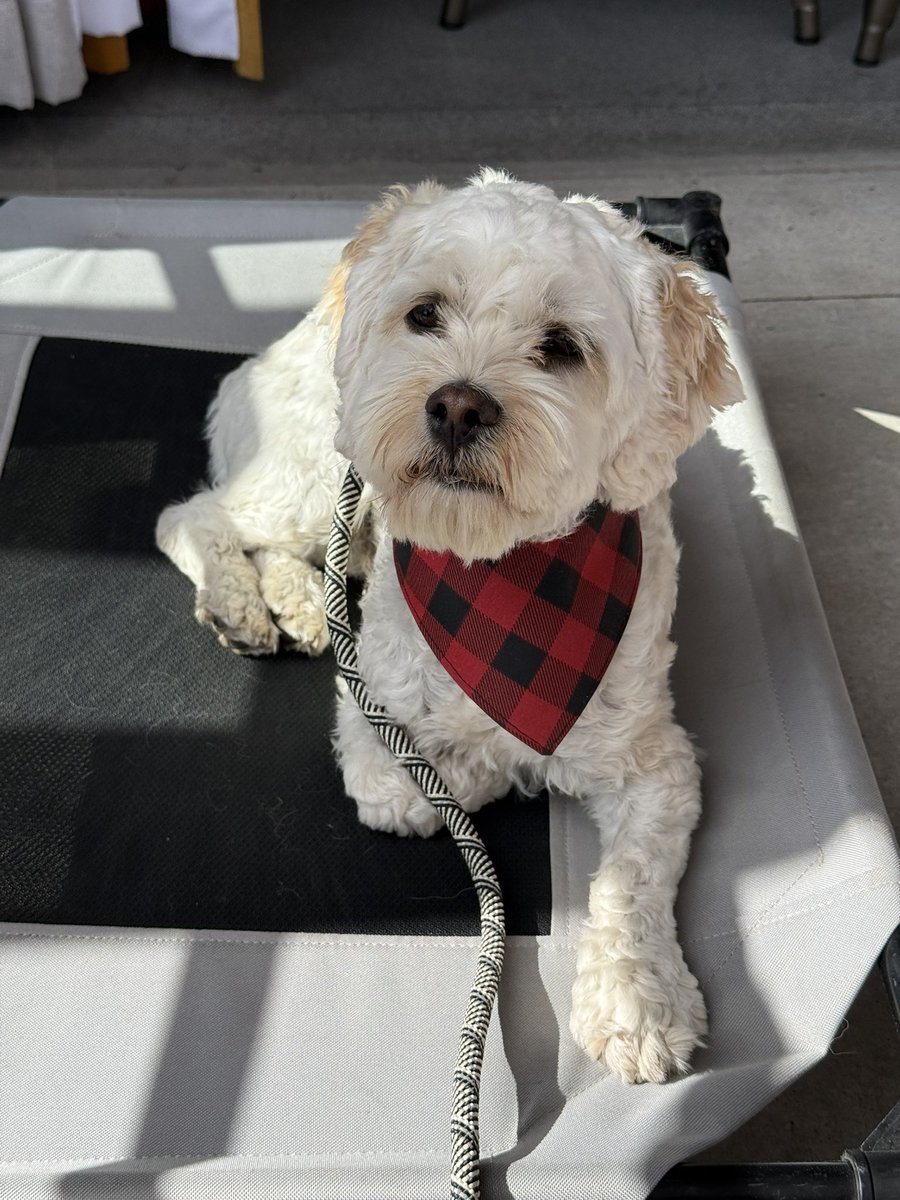 whitechimes's tweet photo. @NatarshaAU This is Freddy https://t.co/SxaqYK0gvQ
