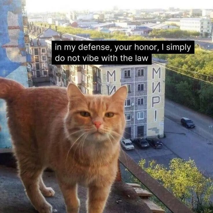 otihnok's tweet photo. Woke 
Solved a bug noone was able to debug
Going to sleep https://t.co/1aD9U2HBzV