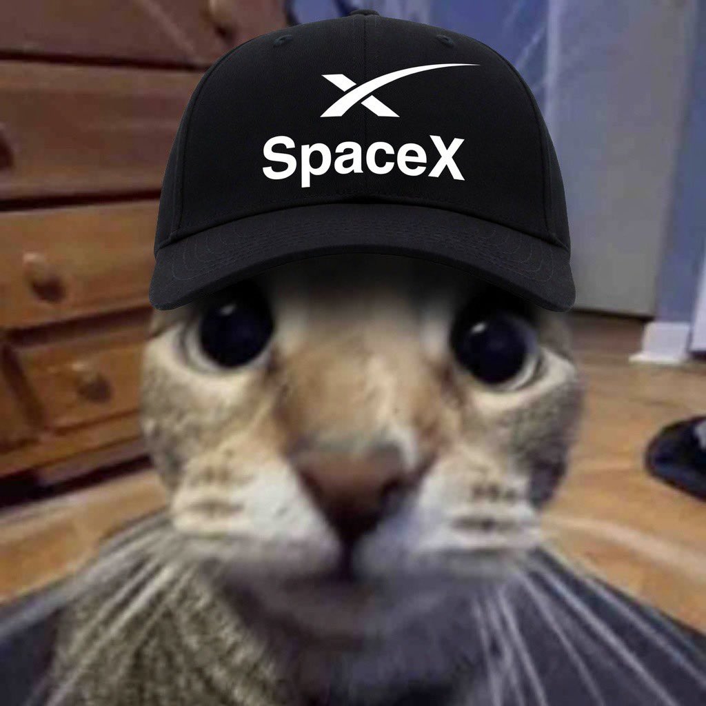 Gorillionskid🦊(red / arc) 🕳️ tweet media