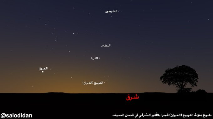 A__alhussaini's tweet photo. سبحان الله
1-بعدَ غَدٍ موسم التويبع "طباخ اللون" يظهر فيه نجم واحد هو الدبران
مدته 13 يوماً
النجم الثاني من نجوم فصل الصيف
تجف فيه الغدران
يحمد فيه أكل البقول
يستعمل فيه كل بارد رطب من الفواكة
فيه اطول نهار واقصر ليل ثم يزداد طول الليل
تشتد فيه حرارة الجو اذا وافقت موجة حر ..يتبع https://t.co/2SfsWyr26H