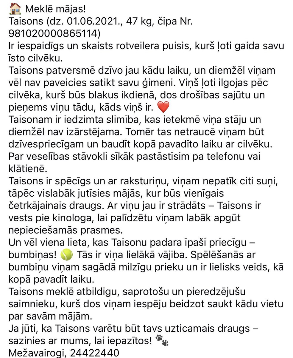 goldiijs's tweet photo. Man vienkārši ir jānopelna visa pasaules nauda, lai visi sunīši var dzīvot ar mani, bet kamēr es cenšos nopelnīt tik daudz naudas, lai nevienam sunītim nebūtu jādzīvo patversmē, ieskatieties šajā skaistulī un varbūt kāds saņemsies un dos mājas vienam fantastiskam sunim ❤️ https://t.co/sgaf28Wx5K