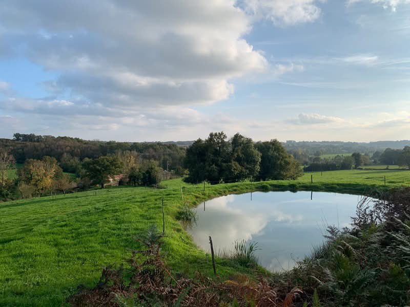 etrebieres's tweet photo. 🇫🇷 Pas de piscine aux Etrebières mais un bel étang sur la colline, alimenté par les  sources naturelles. Asseyez-vous dans la prairie et savourez la vue sur le bocage en écoutant les grenouilles
🌏 No swimming pool here but a pond on the hill, fed by natural springs. https://t.co/r2cb41TXP2