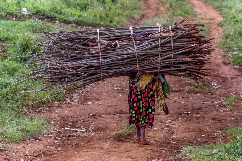 pyramidvalley_'s tweet photo. I no really get gas for house, so I go buy firewood wey I go use cook Wizkid tomorrow… 😭🥳 https://t.co/imQ7ZGycXg