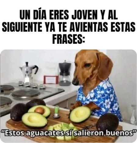 RincnCuriosoo's tweet photo. 😎 https://t.co/MJBflXJFoC