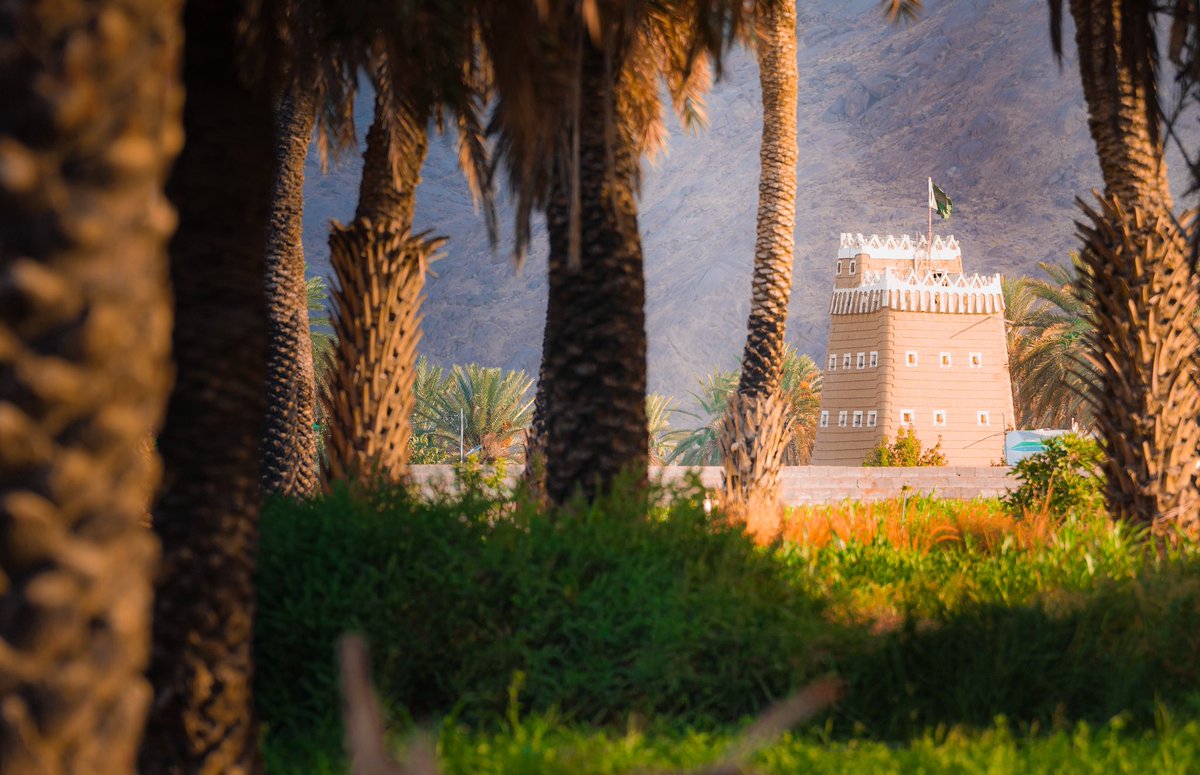 Saleh Al-Mustaneer tweet media