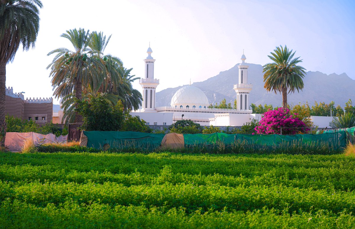 Saleh Al-Mustaneer tweet media
