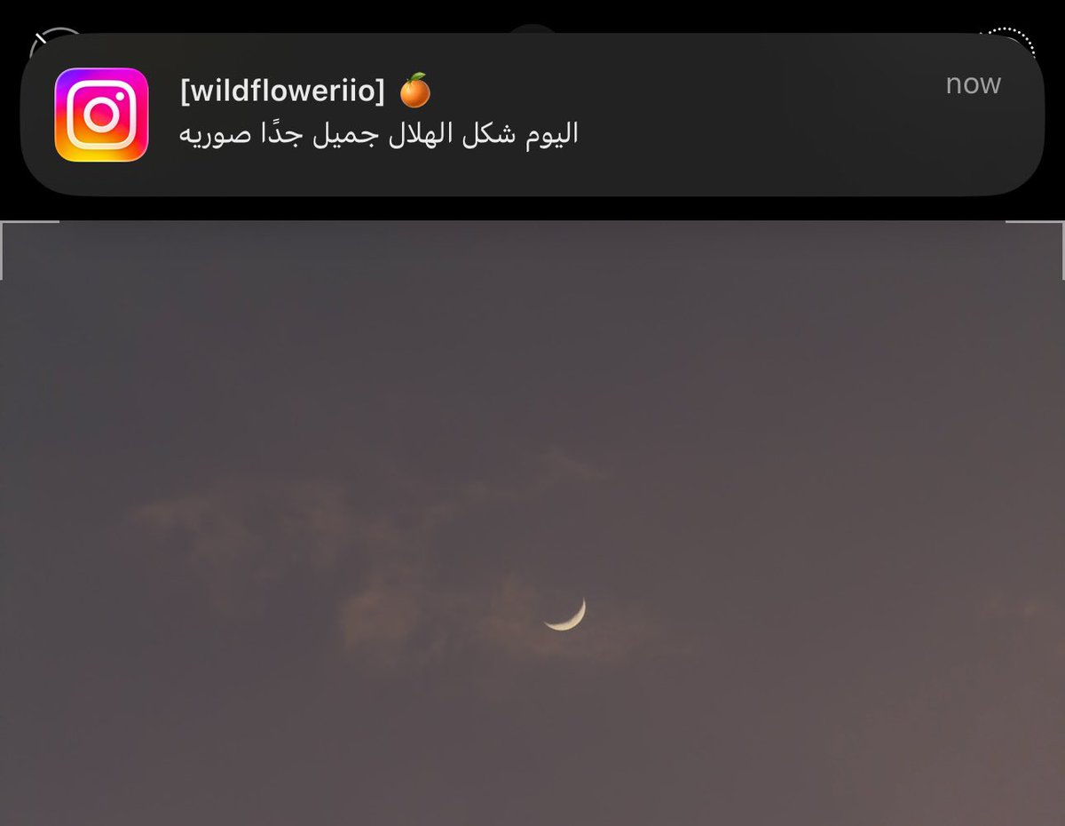 ultramarineil's tweet photo. لا توصين حريص 🤝🏼 https://t.co/2uRoJAYZfo