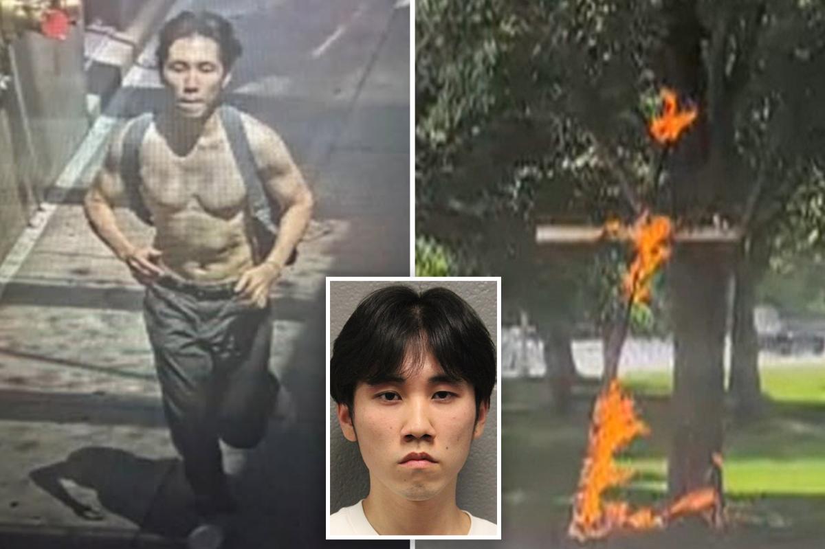 nypost's tweet photo. 21-year-old accused of hate crime after setting cross on fire in Chicago park: cops https://t.co/qzG7d25zJb https://t.co/xdZnZGS3ut
