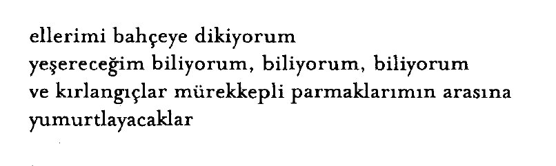 benruhiibey's tweet photo. füruğ ferruhzad https://t.co/pM1r2zLWKU