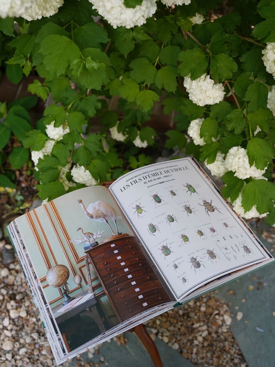 kikindaa2's tweet photo. Join our neighborhood book swap this Saturday at the community garden! Bring a gently used book, take a new favorite, make friends! All ages welcome. https://t.co/Ws9FDdWfz2