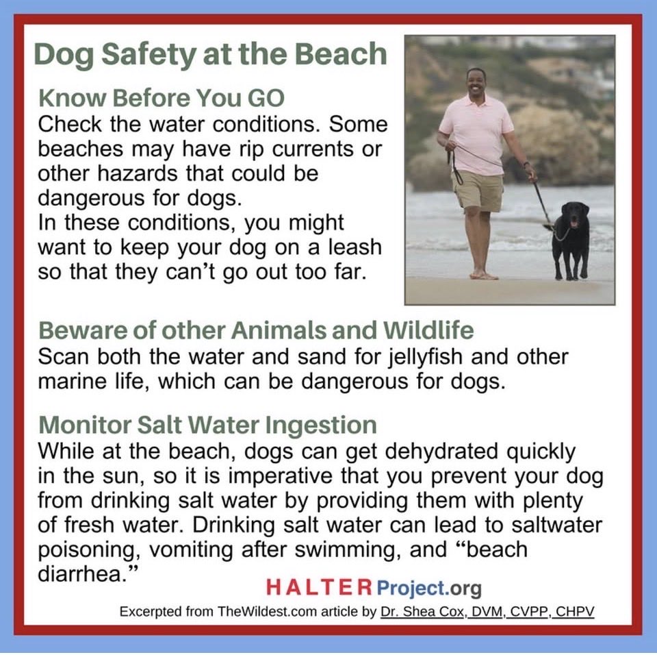 halterproject's tweet photo. The @NWSBayArea US has issued a Beach Hazards Statement for Pacific Coast beaches continues through early Saturday morning. 🌊
Stay back from the water’s edge, stay off of jetties and piers, and NEVER turn your back on the ocean. https://t.co/Hxm2wc9Kzw