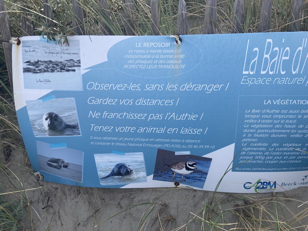 DaveDaveadcock's tweet photo. Lovely walk to Montreuil Sur Mer station today through the woods and then on to slightly run down but looking up Berck Sur Mer. Seals are in the bay and there’s a gorgeous fisherman’s church #HautsdeFrance #BerckSurMer https://t.co/POJCPj3WE1
