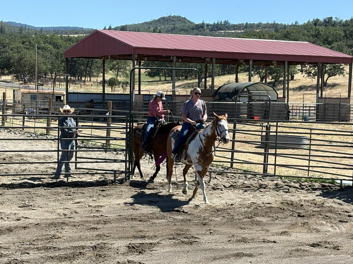 OneTribe_22KILL's tweet photo. Our Tribe was so blessed to spend an incredible weekend at Sunnybrook Ranch in Oregon recharging with amazing patriots! Thank you, @AndrewPollackFL &amp; the entire community for allowing us this special time together! #onetr1be #oregon https://t.co/wzTyn9GhCd
