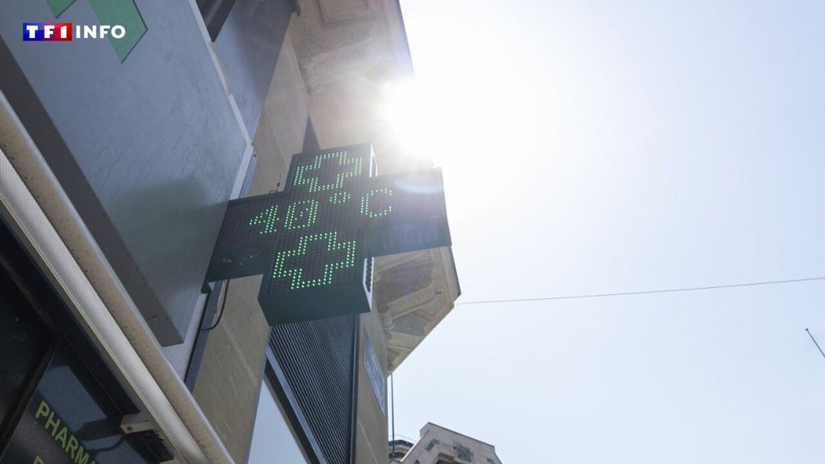 TF1Info's tweet photo. EN DIRECT - Canicule : 40°C enregistrés dans la Vienne aujourd'hui, la moitié du pays en alerte orange demain
➡️ https://t.co/5K7mZ2BMfz https://t.co/OzDCqEYciw