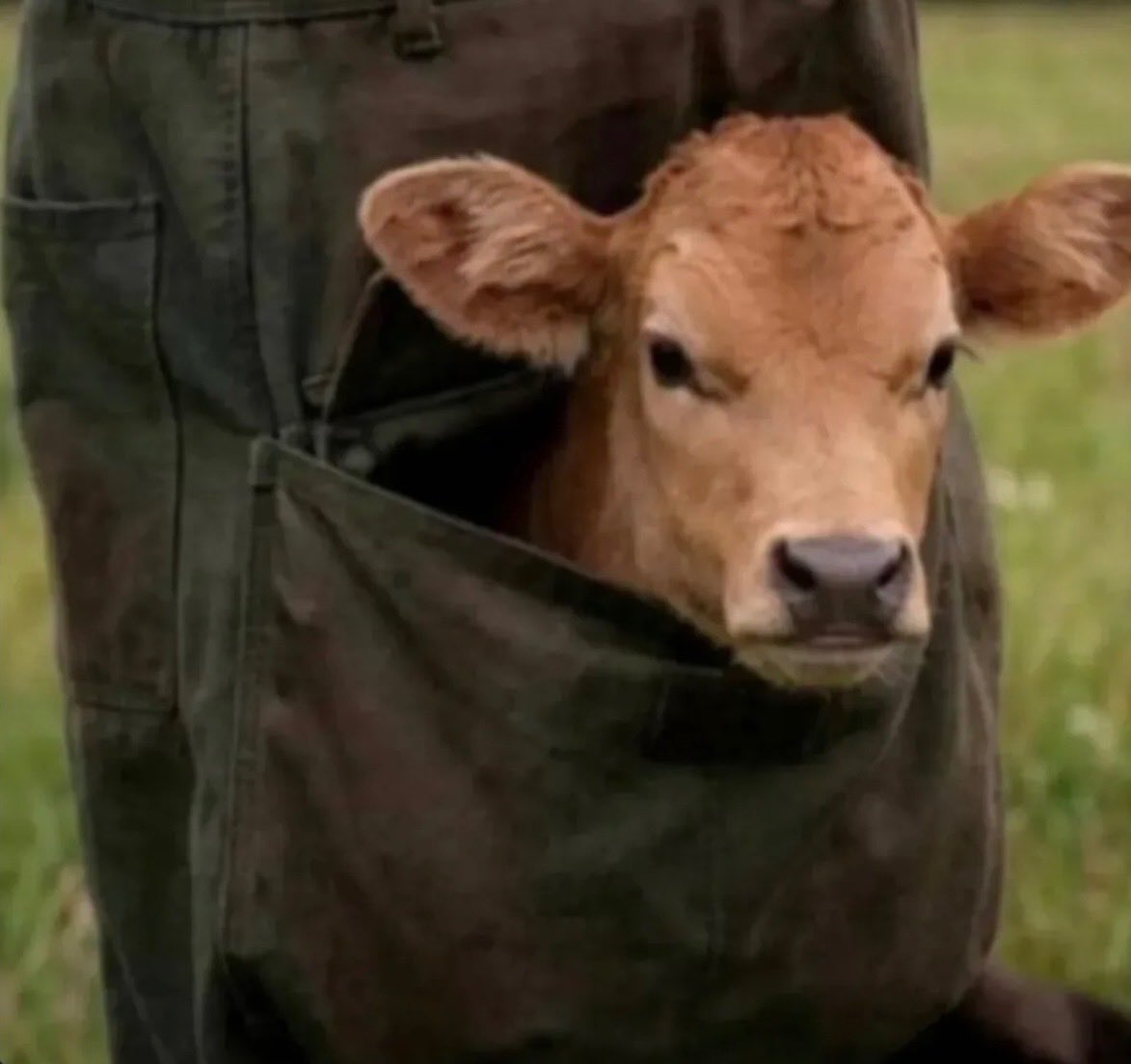 Jeyhopyy's tweet photo. When farmers see an iPhone in your pocket https://t.co/LKGOfpYhbb