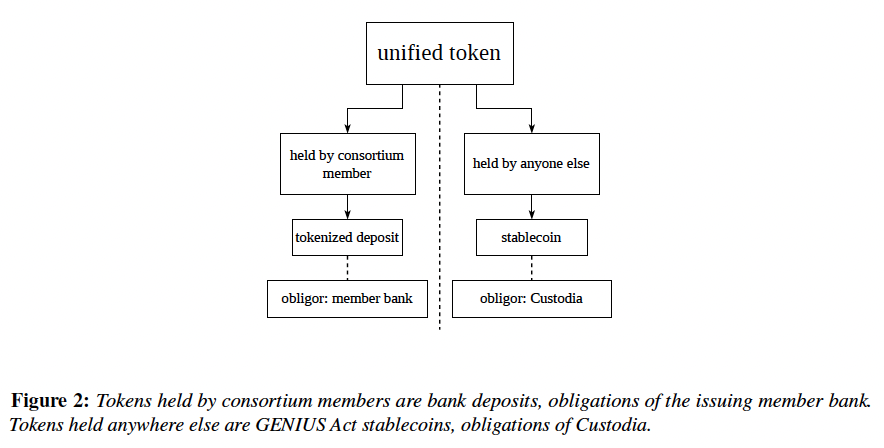 CaitlinLong_'s tweet photo. 2/ #HazelNetwork’s defining characteristic is a dual-character tokenized US dollar: inside the consortium of banks, the token is a #tokenizeddeposit (FDIC insured); outside the consortium, the token programmatically transforms into a GENIUS Act #stablecoin (not FDIC insured). https://t.co/SHOWy3Pdr6