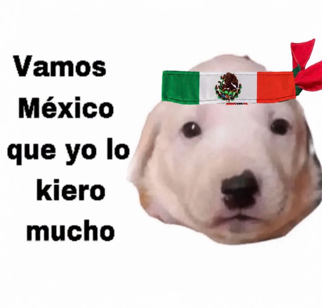 DiloConPerritos's tweet photo. Hoy #SomosMéxico 
#VamosMexico 🇲🇽 https://t.co/6eRqAqwveH