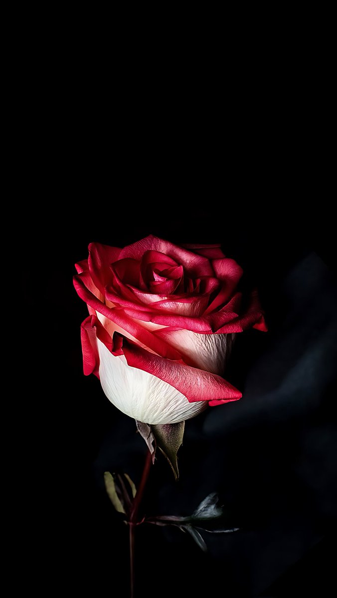 AN0UNZ's tweet photo. فَقالَت لَقَد أَزرى بِكَ الدَهرُ بَعدَنا
فَقُلتُ مَعاذَ اللَهِ بَل أَنتِ لا الدَهرُ
وَما كانَ لِلأَحزانِ لَولاكِ مَسلَكٌ
إِلى القَلبِ لَكِنَّ الهَوى لِلبِلى جِسرُ https://t.co/6g2dc7jnWJ