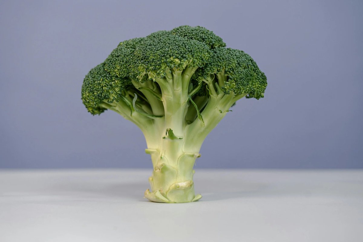 PeakMasculinit's tweet photo. Stop eating inferior vegetables.

Start eating Testosterone-boosting vegetables.

1. Broccoli https://t.co/XCzcm8Zv65