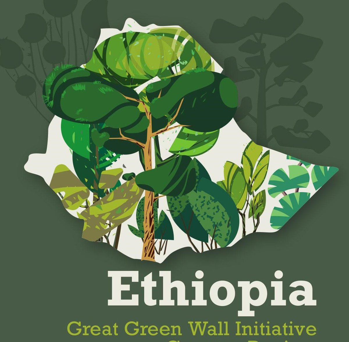 abiy_sh's tweet photo. በአረንጓዴ አሻራ መርሃ ግብር ኢትዮጵያውያን ከ48 ቢሊዮን በላይ ችግኞችን ተክለዋል። https://t.co/mUd1pQj0WK