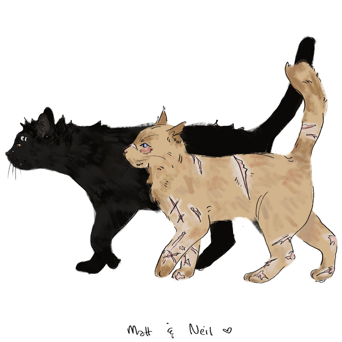 woofeoof_2's tweet photo. Matt's kitty type was hard to figure out since I see him largely as a lion lol but I needed house cat types so i tried to settle on a Bombay due to personality and hair color. Spiky kitty
#mattboyd #neiljosten #aftg https://t.co/o3WeW8Qkmi