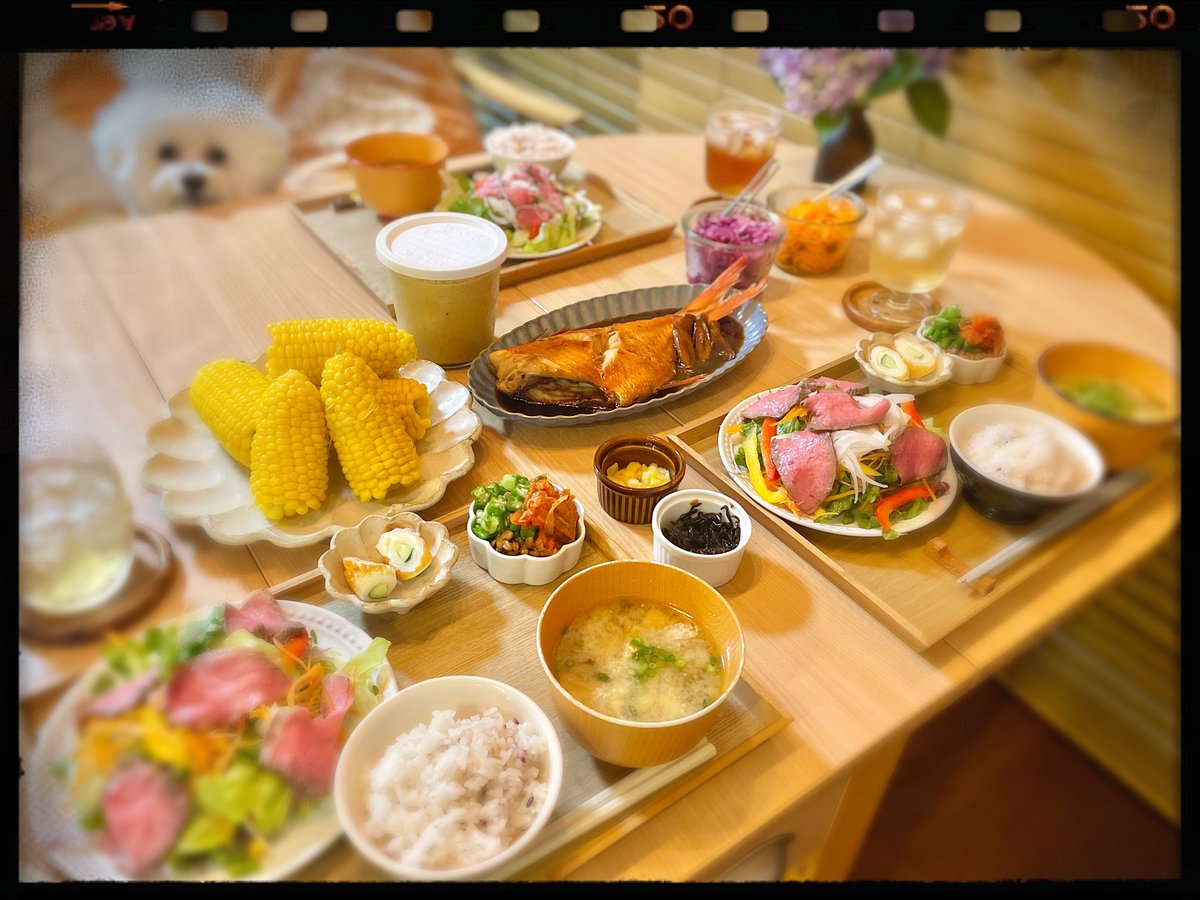 miffy019's tweet photo. 出張中（ウガンダとミャンマー）の食事は大変だったろうね…
久し振りにみんなでご飯〜🍚 https://t.co/TWKSDmxbry