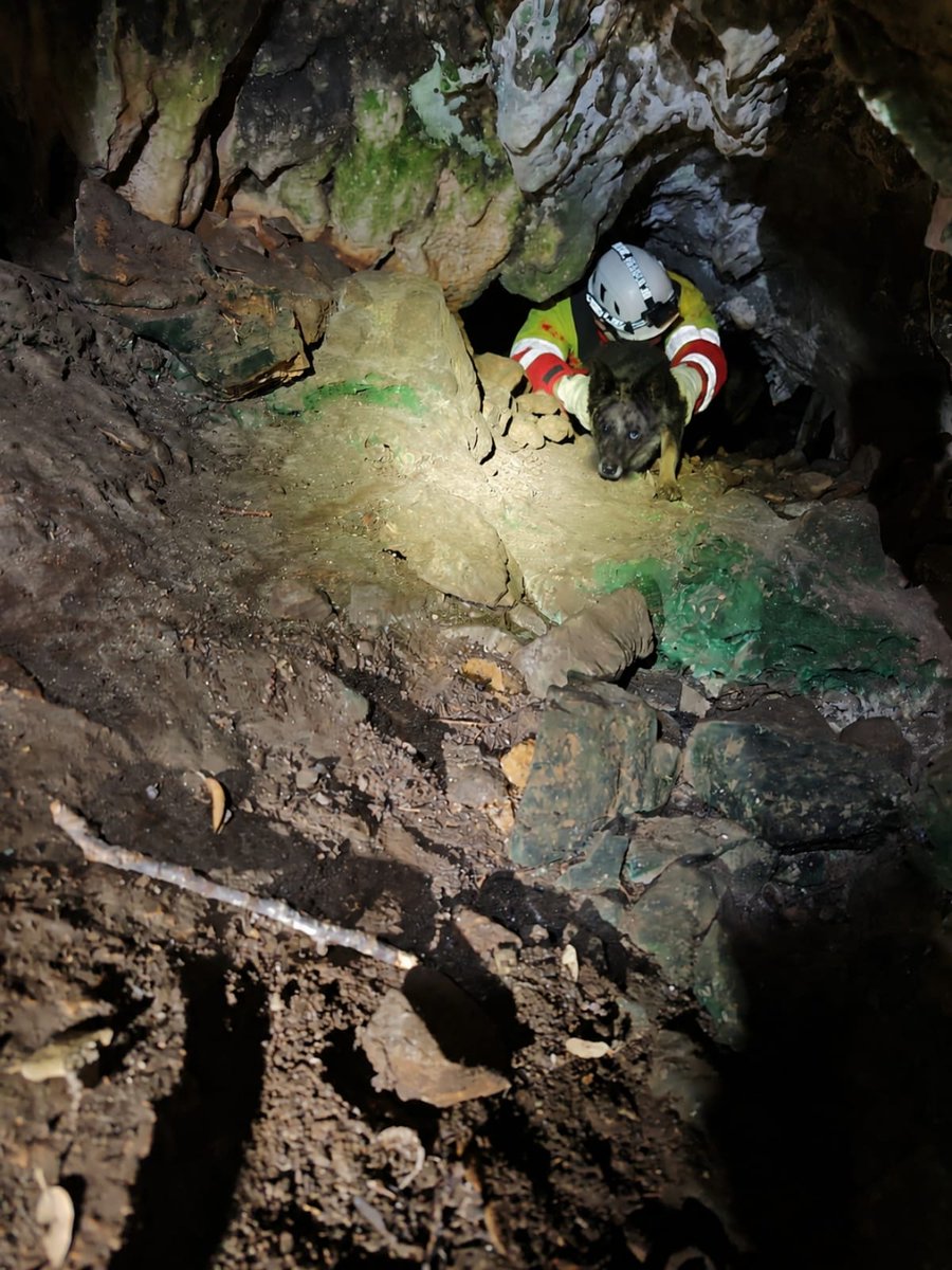 112Cantabria's tweet photo. Rescate de perro caído en una sima del interior de una cueva de #Pechón. Bomberos @cantabriaes acceden al lugar y bajan a la grieta en la que estaba el animal para sacarle a la superficie. Se encuentra en buen estado. https://t.co/cI7WJwOnFi