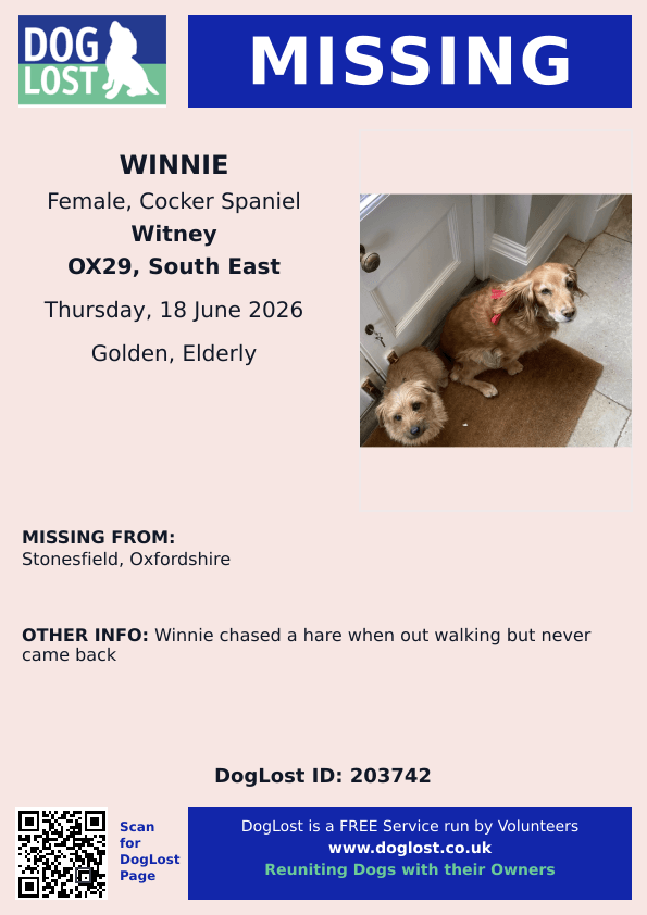millypod1's tweet photo. 🆘18 JUNE 2026 #Lost Winnie #ScanMe
ELDERLY Cocker Spaniel Female
#Stonesfield area #Oxfordshire 
nr #Witney West Oxfordshire
https://t.co/BG7rXEnETI https://t.co/wMOhq6nL58