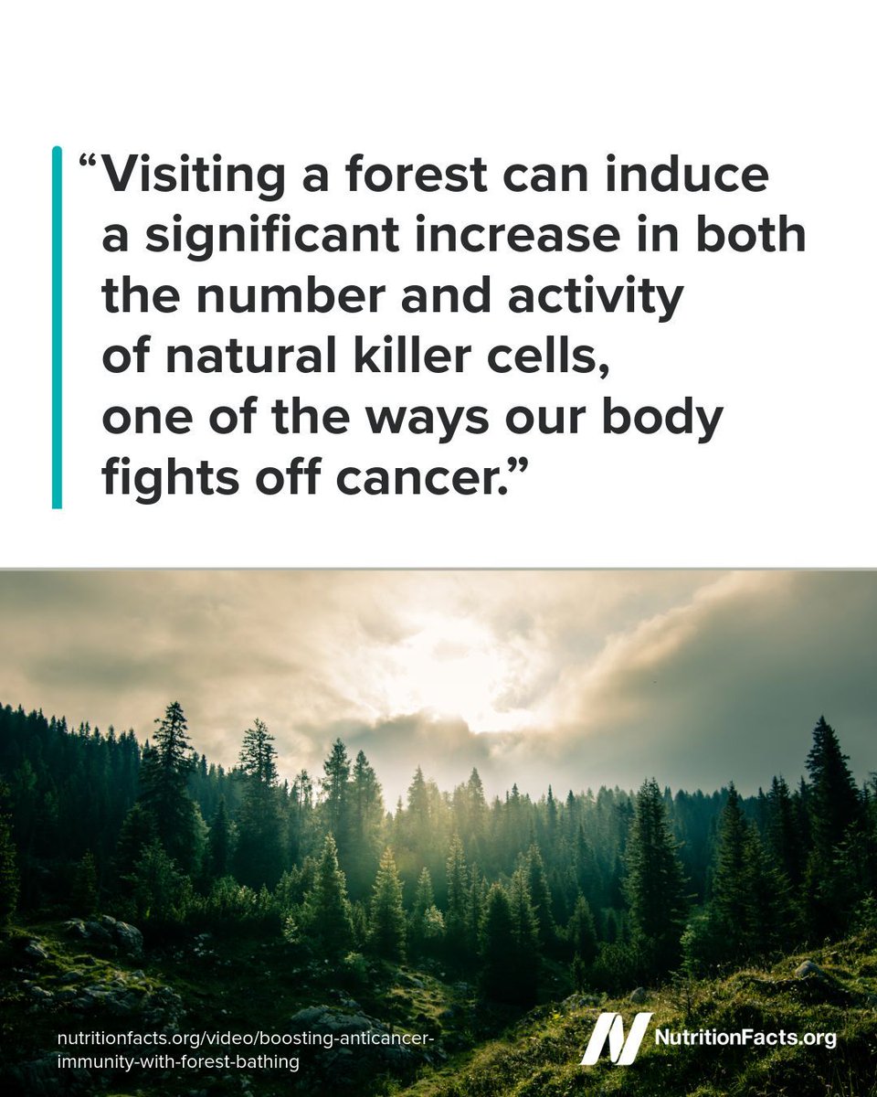nutrition_facts's tweet photo. In a study comparing walking in a city versus a forest, the participants walking in the woods experienced an 80% boost in natural killer cell activity, compared to only a 10% bump for the city walkers. https://t.co/M7x5KBbifs https://t.co/wThyWi3Gkf