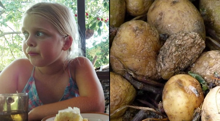 Global_Folder's tweet photo. In 2013, eight-year-old Maria Chelysheva became the sole survivor of her entire family after toxic gas from a cellar full of decaying potatoes filled their home.

Her 42-year-old father, Mikhail Chelyshev, went down to the cellar to fetch potatoes for lunch and collapsed, dying on the spot.

When his wife and son followed to check on him, they met the same deadly fate.Maria’s 68-year-old grandmother called for help but then entered the cellar herself and never returned.

Investigators later determined that the potatoes had rotted in the poorly ventilated space for too long, releasing lethal fumes.

The family had no idea that something as simple as spoiled potatoes could turn deadly in an enclosed area.

Maria survived only because she was the one family member who never went into the cellar.