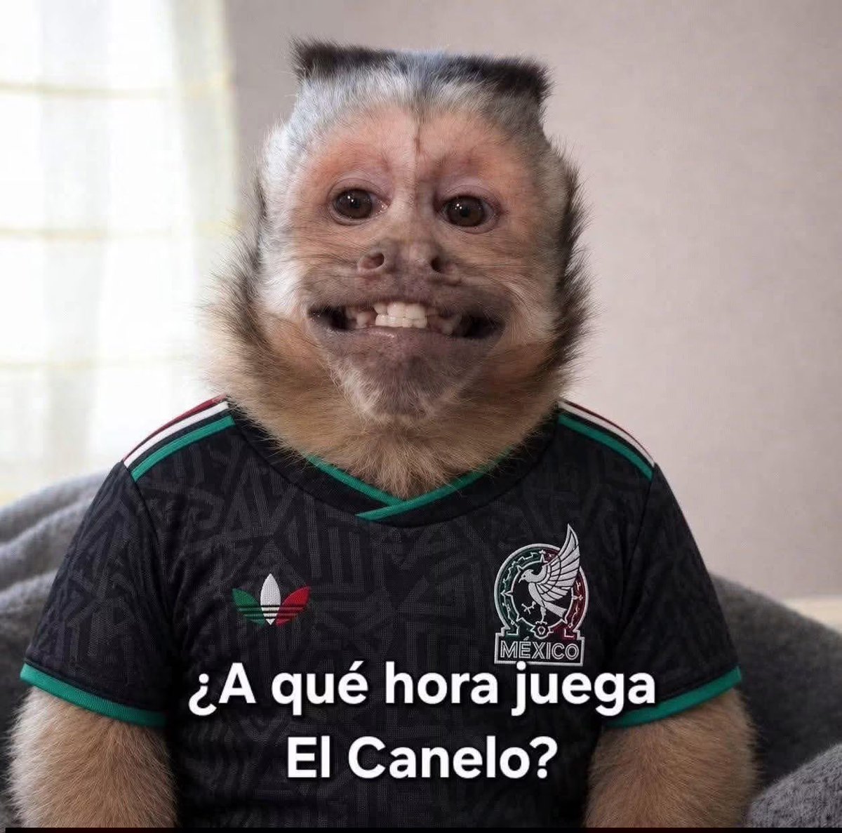 yarebrtz's tweet photo. #mundialdefútbol2026 #mexicovscorea https://t.co/Fskb5ihfJl